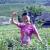 �x��Ӣ